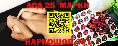 гидропоника Гусев