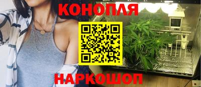 mdpv Гусиноозёрск